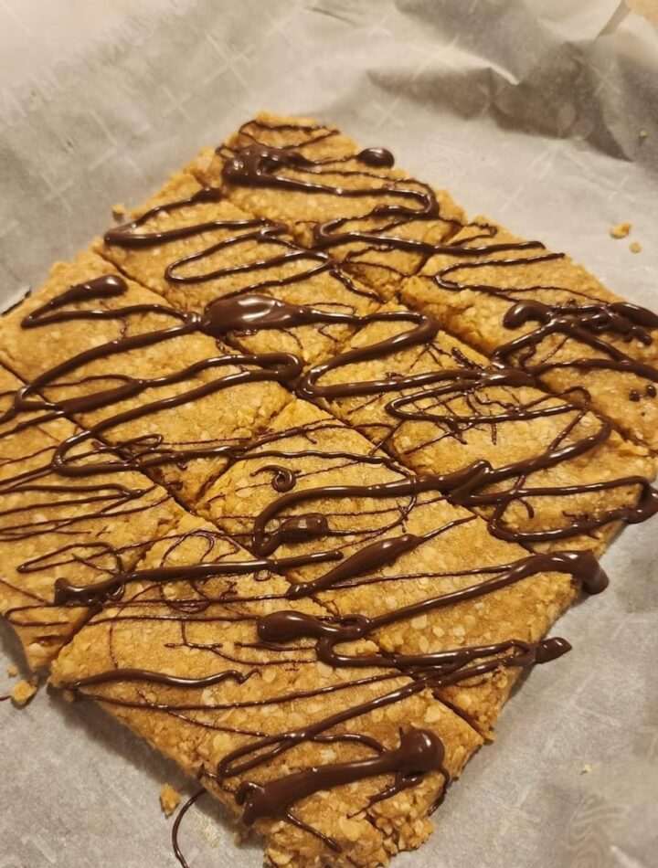 Protein Granola Bars